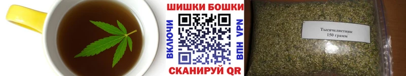 мега tor  где продают наркотики  Соль-Илецк  Canna-Cookies конопля 