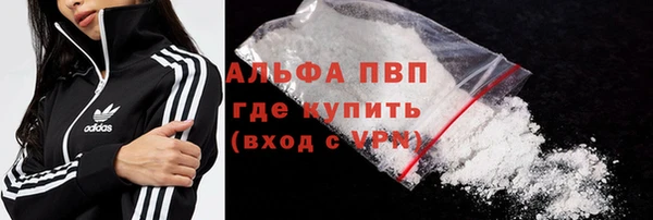 мяу мяу мука Белокуриха