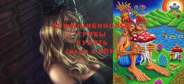 мяу мяу мука Белокуриха