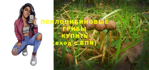 мяу мяу мука Белокуриха