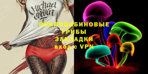 мяу мяу мука Белокуриха