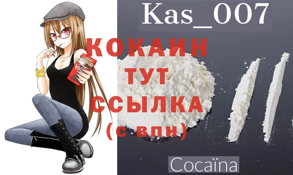 мяу мяу мука Белокуриха